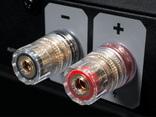 Load image into Gallery viewer, X Series Stealth PA-1 Balanced Class-D Monoblock Power Amplifier
