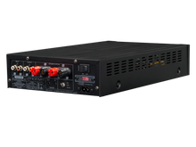 Load image into Gallery viewer, BasX A-100 Stereo Flex Amplifier
