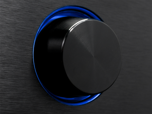 BasX A-100 Stereo Flex Amplifier